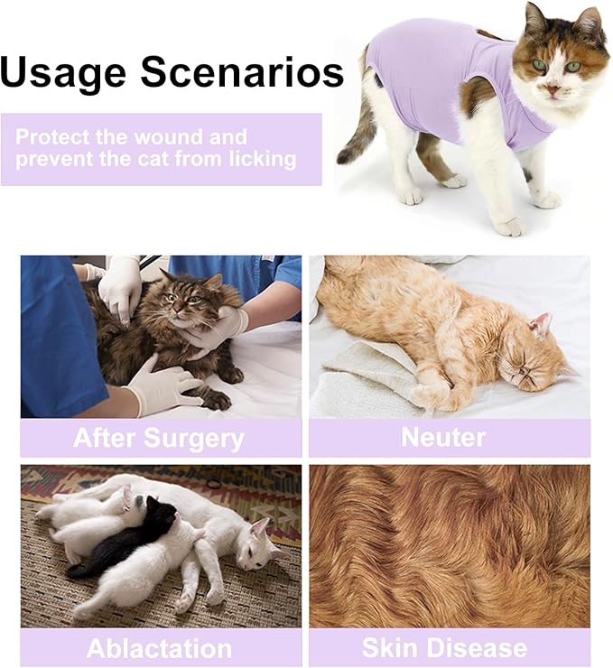 Cat Recovery Suit, Surgical Recovery Clothes for Abdominal Wound or Skin Disease, Cats Onesie After Surgery and Spay, E-Collar Alternative Pajama Suit (Purple, Small)