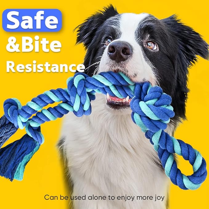 Petbobi Bungee Dog Toy, Outdoor Dog Tug Toy for Pitbull Interactive Exercise, Spring Pole Tug-of-War Toy with Durable Rope, Hanging Toy for Large Dogs to Reduce Boredom, Blue