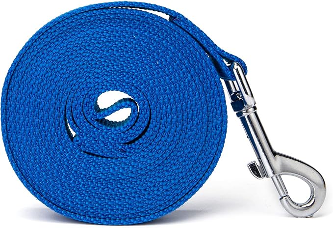 Strong Durable Nylon Dog Training Leash, 1 Inch Wide Traction Rope, 6 ft 10ft 15ft Long, for Small and Medium Dog (Blue, 10 Feet)