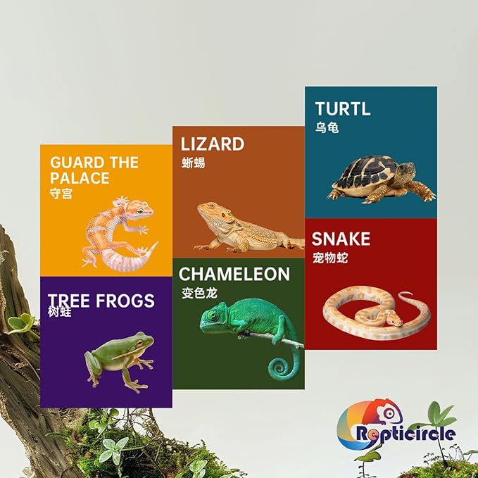 36 Gallon Reptile Enclosure, 34.1x14.8x16.6 Tank for Ball Python, Bearded Dragon, Snake, Gecko – Reptile Terrarium with Glass Sliding Door & Top Screen Ventilation