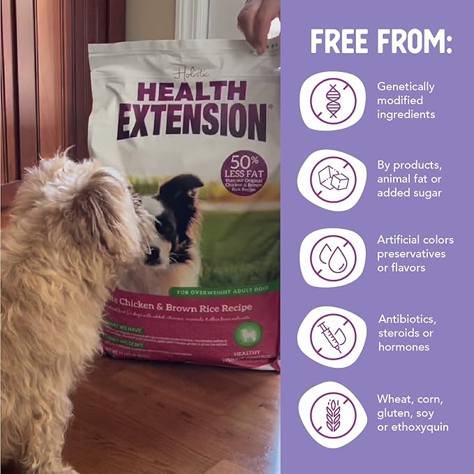 Health Extension Lite Chicken & Brown Rice Dry Dog Food, Low Fat Formula Supports Healthy Weight, with Probiotics & Superfoods for Digestion & Coat Health (1lb)