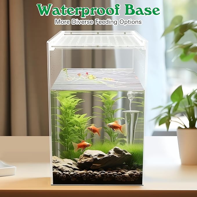 Reptile Terrarium Enclosure 6"x6"x10" Tall Acrylic Tarantula Breeding Box Magnetic Hermit Crab Habitat Vertical Tank Transparent Jumping Spider Cage for Insect Mantis Scorpion Sling Isopods