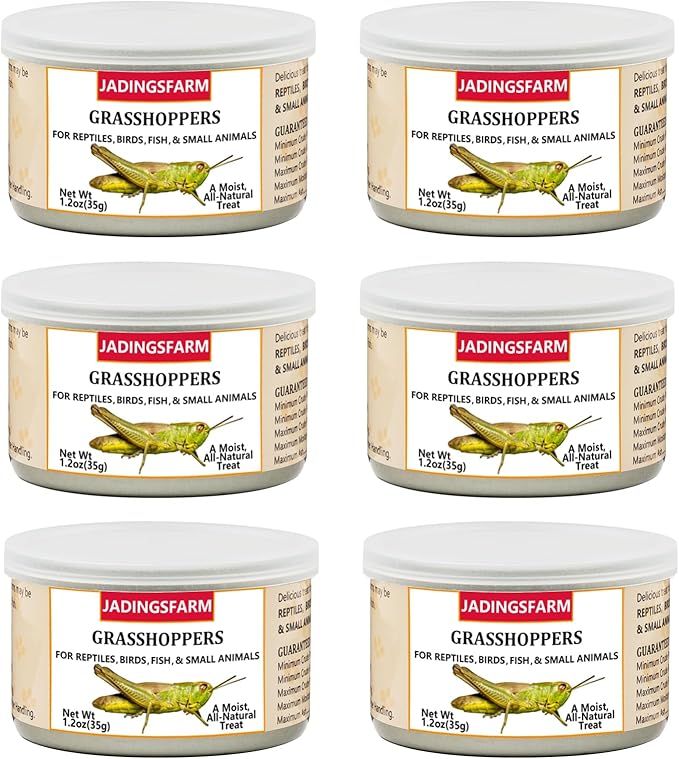 6 Pack Canned Grasshoppers for Reptiles, Fish, Birds and Small Animals, Grasshoppers, Healthy High Protein Treat, Bearded Dragon Food 7.2 Ounces Total