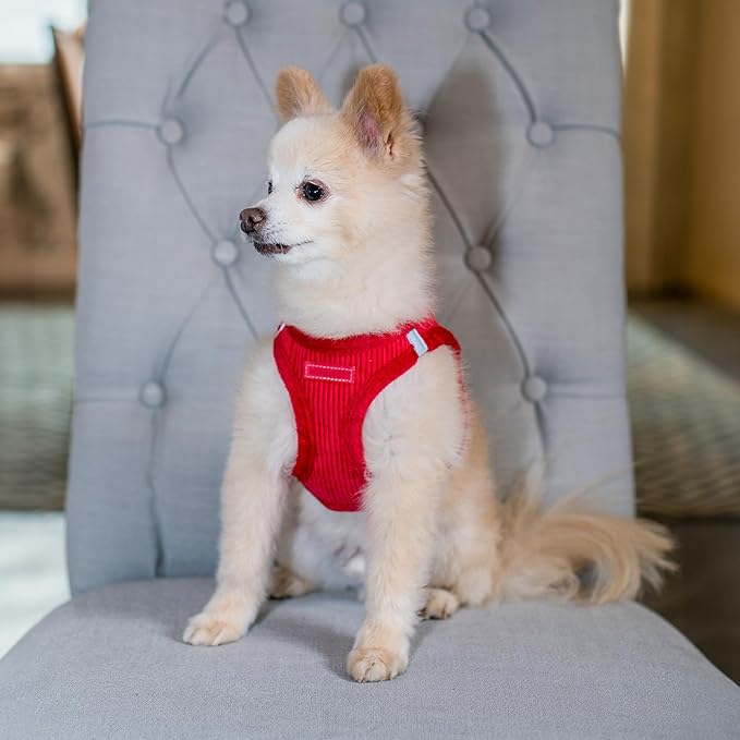 Best Pet Supplies - All Weather Mesh/Plush, Reflective, No Pull Harness for Small, Medium Dogs, Cats - Secure with Hook & Loop Fastener, Buckle, Double D-Rings - Red Corduroy, XS