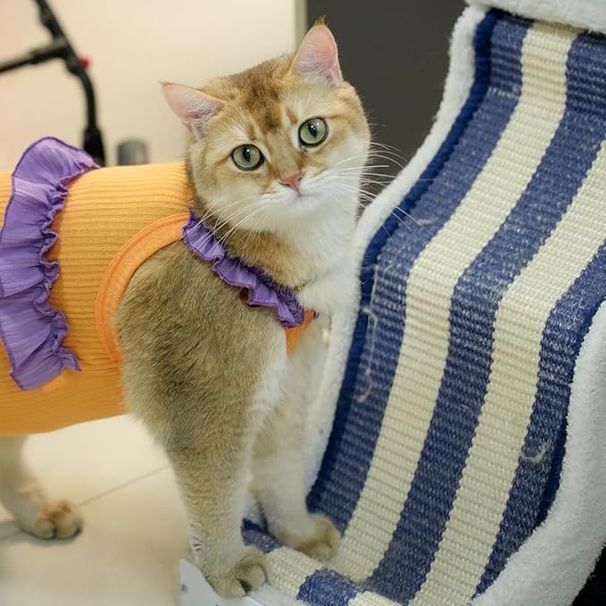 Cat Recovery Suit,Kitten Onesie After Surgery,E-Collar Alternative for Abdominal Wound and Skin Diseases,Soft Breathable Bodysuit After Spay（Orange-XL）