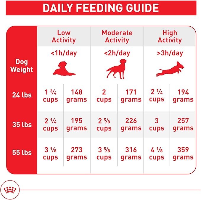 Royal Canin Size Health Nutrition Medium Adult Dry Dog Food, 4 lb Bag