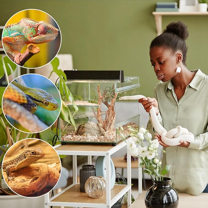 LYPHARD AQUARIUMS Driftwood for Aquarium, 3 Pieces 6-10" Natural Small Drift Wood Fish Tank Assorted Branch Decorations Pieces for Reptile Hide