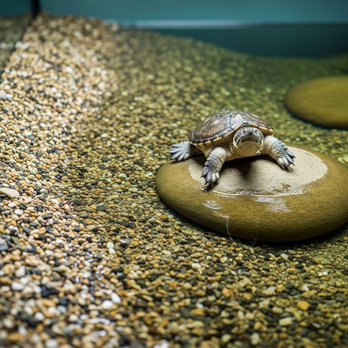 32 oz Jug of Multicolor Tan Pea Gravel, ⅛ - ½ inch Size, for Indoor Outdoor Decor, vase Filler, Candles, Art, Crafts, Aquariums, Fairy Gardens, planters, tablescapes, terrariums