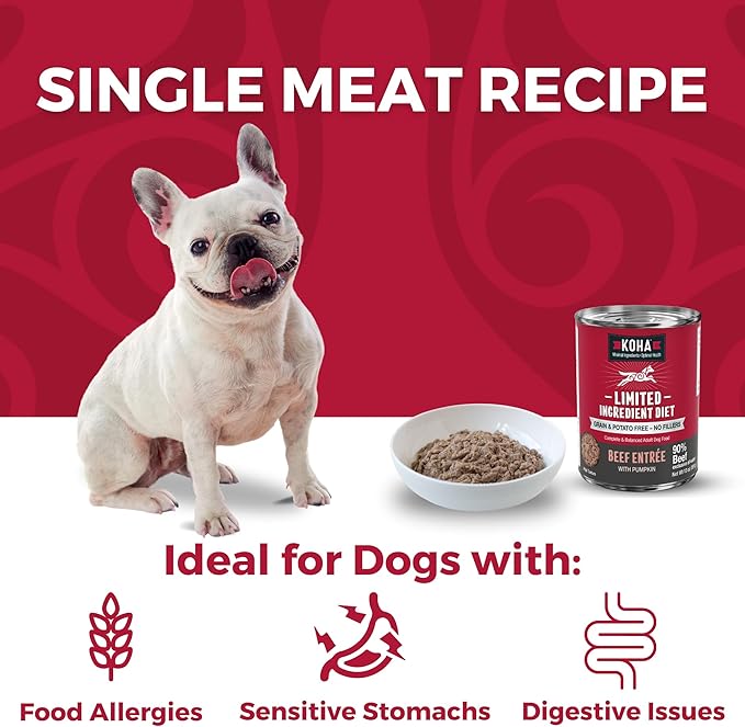 KOHA Limited Ingredient Diet Beef Entrée for Dogs - Grain Free Wet Dog Food with No Fillers - Sensitive Stomach Beef Dog Food 13 oz Pack of 12