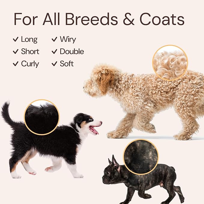 Sunny & Honey Dog Grooming Kit & Shampoo Bundle Pack - 16 oz Coconut Honey Shampoo & Conditioner Set - 8 oz Breeze Dog Deodorizing Spray - Deshedding Brush - Microfiber Towel