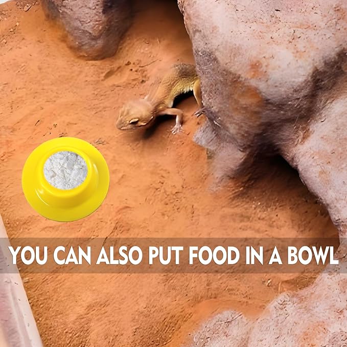 2 Pcs Color Gecko Calcium Dish,Lizard Gecko Bearded Dragon Chameleon Water Feeding Bowl,Small Reptile Food Dish,Reptile Terrarium Tank Accessories(Green+Yellow)