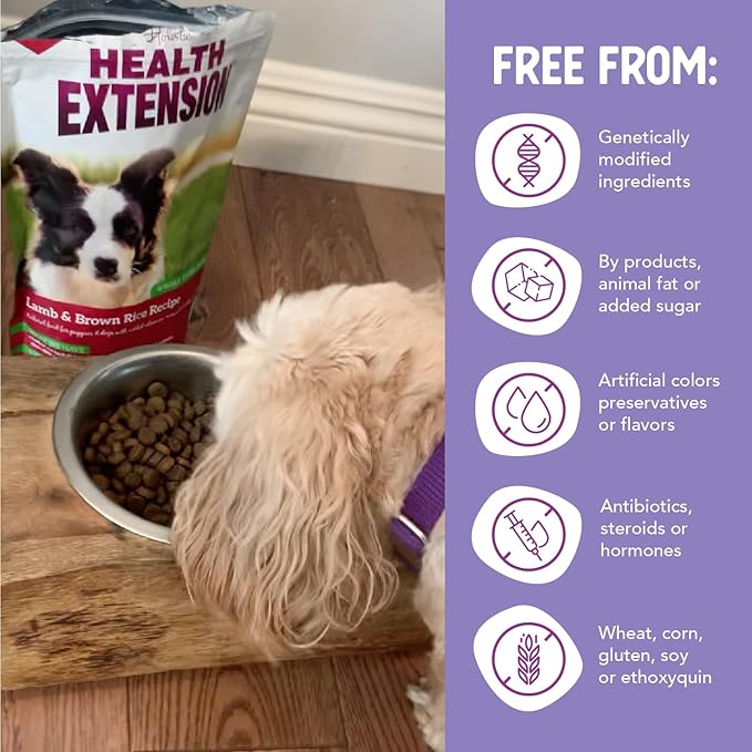 Health Extension Lamb & Brown Rice Dry Dog Food, Protein Packed Formula with Probiotics & Superfoods for Digestion & Coat Health (15lb)