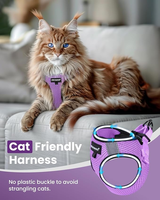 FAYOGOO Cat Harness, Cat Leash and Harness Set for Walking Escape Proof, Harness for Small Cats/Small Dogs, Large Kitten/Puppy Harness and Leash, Harness for Cats S-XXL(Modern Violet, X-Large)