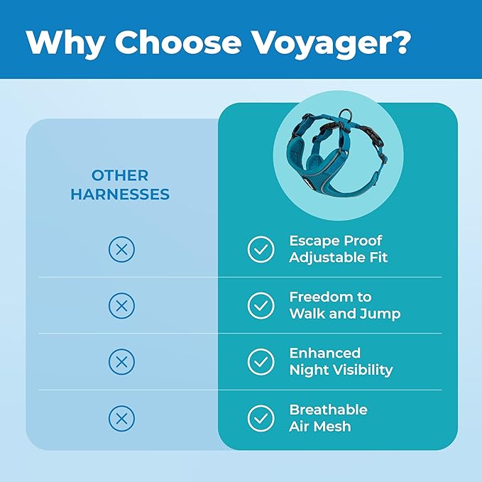 Best Pet Supplies Voyager Escape Proof Cat Harness and Leash Set with Reflective Stitching, Neoprene Handle 5ft - Supports Small, Medium and Large Cats, Kittens - Turquoise, M (Chest: 16.5-19.5")