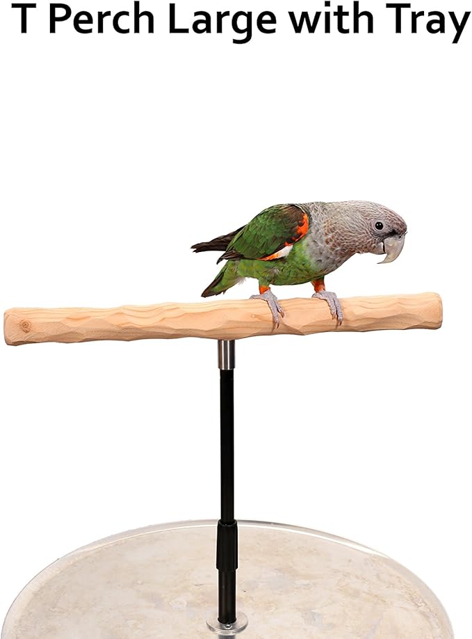 Parrot Training Perch Stand with Potty Tray (T Perch, Large)