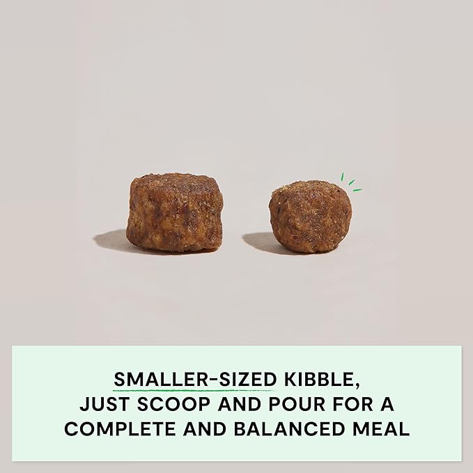 Open Farm, Grain-Free Dry Dog Food for Small Breeds, High-Protein Kibble, Sustainably & Ethically Sourced Ingredients, Non-GMO Veggies & Superfoods, Chicken & Turkey Recipe for Small Dogs, 4lb Bag