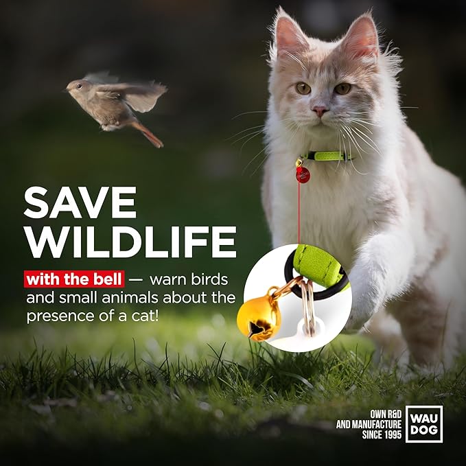 Leather Cat Collar with Bell and Safety Elastic Strap Breakaway Alternative for Small & Large Kittens, Stylish Pet Leather Collar for Boy, Girl Cats with Metal Buckle & QR ID Tag (Green)