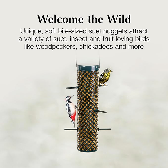 C&S Sunflower Suet Nuggets, Wild Birds Food For Woodpeckers, Chickadees, Nuthatches, and More, 8 Pounds