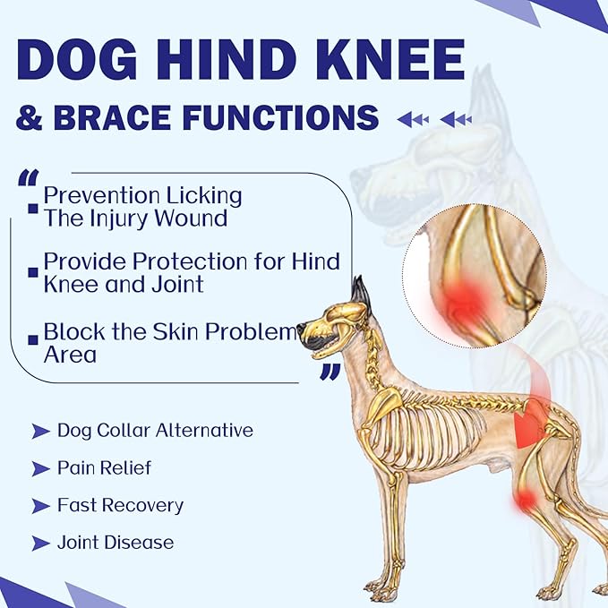 ROZKITCH Dog Surgery Leg Sleeve Rear Legs, Male Female Pet Prevent Licking Wound Elbow Knee Protector, Dog Recovery Suit Cone Collar Alternative Pants Shirt for Wound Heal Wrap Blue L