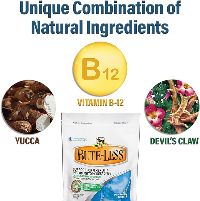 Bute-Less Comfort & Recovery Supplement Pellets, Healthy Inflammatory Response, 2 lb / 32 Day Supply