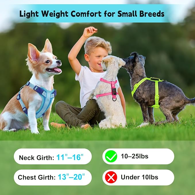 Rechargeable Light Up Dog Harness for Small Dogs – Adjustable LED Dog Vest with Reflective Strips, No Pull Glow in The Dark Puppy Harness for Night Walking Safety-Blue