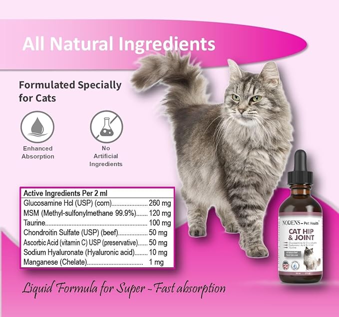 NODENS CAT Hip and Joint Glucosamine for Cats with Chondroitin - Cat Pain Relief from Inflammation - Cat Joint Supplement for Improved Joint Flexibility - Natural Liquid cat Health Supplies 59ml