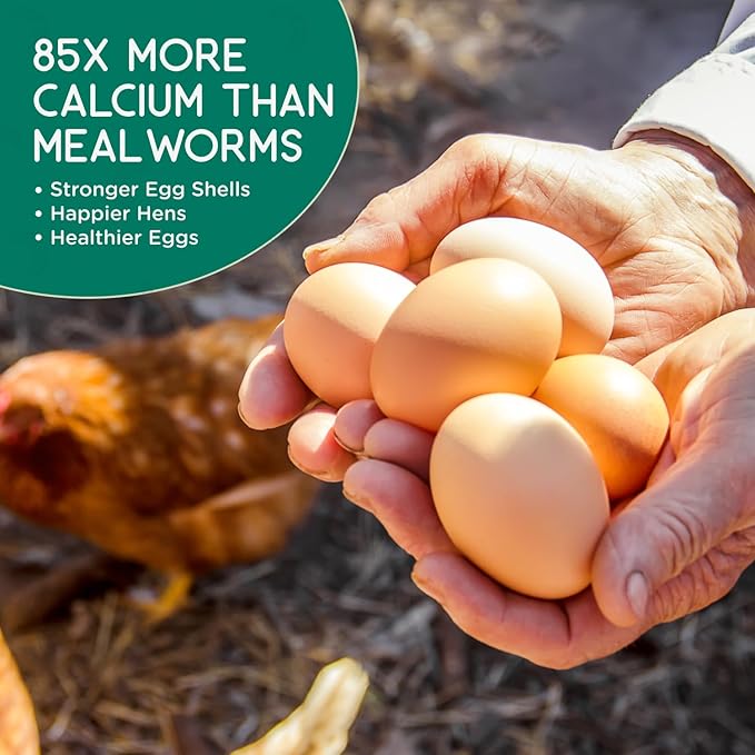 FLYGRUBS 10 lb Dried Black Soldier Fly Larvae - High Calcium Chicken Feeder - 85X More Calcium, Non-GMO Meal Worms for Wild Birds, Ducks, Turkeys, Quails, Turtles - Nutrient-Rich BSFL