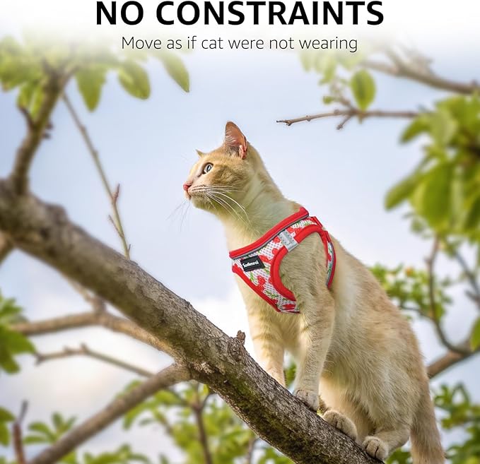 SCENEREAL Cat Harness & Leash Set Escape Proof - Adjustable Air Mesh Vest with Reflective Strips for Kittens, Puppies, Rabbits, Cherry M