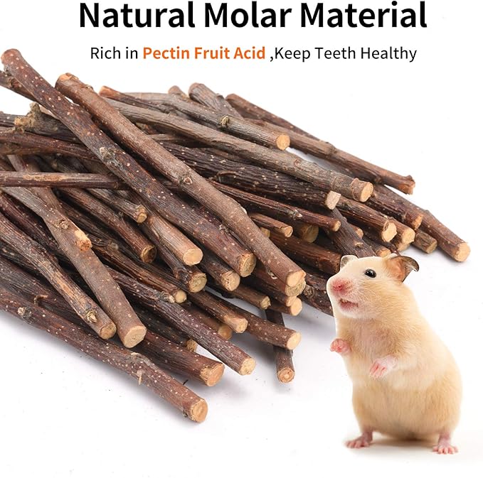 Natural Apple Sticks, 100g Treats Food for Small Animals, Chew Toys for Chinchilla Guinea Pigs Rabbit Squirrel Hamster Bunny (100g)