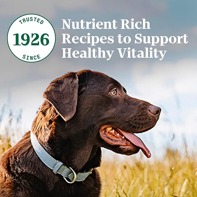 Nutro Natural Choice Chicken & Brown Rice Adult Large Breed Dog Food Dry Recipe, 13 lb. Bag