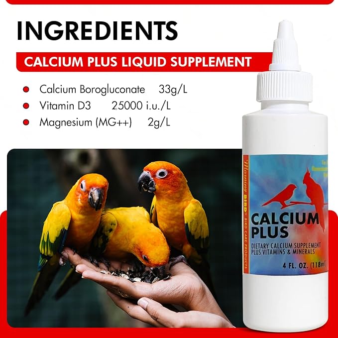 Morning Bird Calcium Plus Liquid for Birds – Bird Vitamins for Strong Eggshells, Healthy Bones, and Baby Bird to Support Growth, Breeding, and Wellness for All Birds 4 Fl Oz