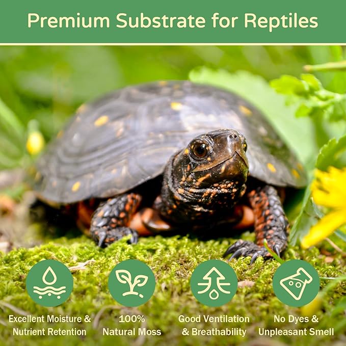 Riare 1.1LB Premium Sphagnum Moss for Reptiles- 25QT Natural Reptile Moss Dried, Forest Live Moss for Terrarium, Frogs Snake Peat Moss Bedding for Leopard Gecko Turtle Anoles Salamanders Orchid Plants