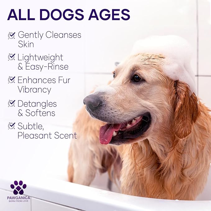 Pawganica 2-in-1 Purple Shampoo for Dogs, Supports Coat Whitening & Softness, pH-Balanced, Fur Whitening Dog Shampoo and Conditioner, Shampoo for Smelly Dogs 16 fl oz