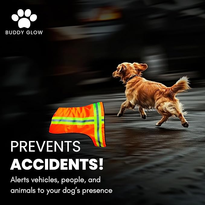 Reflective Dog Vest – Fluorescent Orange | High-Visibility, Water-Resistant Safety Jacket with Adjustable Fit for Day & Night Walks, Hiking, Hunting, and Outdoor Use (Small)