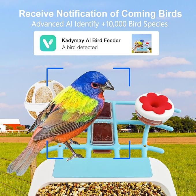 64GB Smart Bird Feeder with Camera Solar Powered, 2K 3MP HD Live Video &Playback on Phone, AI Identify +10,000 Bird Species, 2.4G WiFi Bird Feeder Camera Wireless Outdoor House-Bird Watching (Blue)
