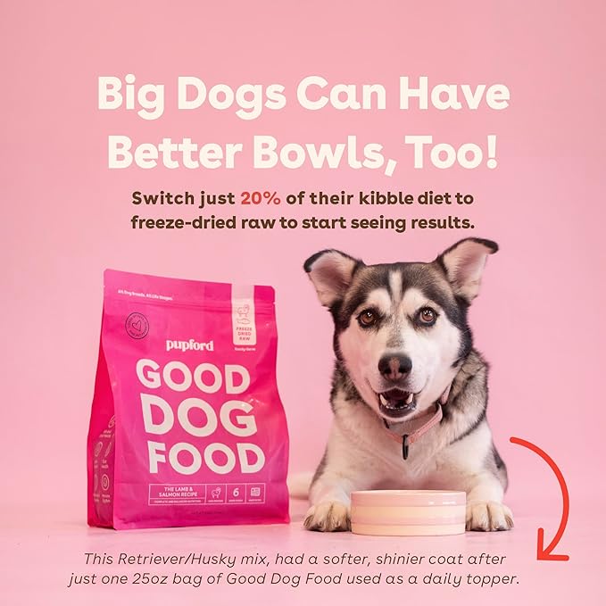Pupford Good Dog Food, Freeze-Dried Raw, High-Protein, Superfood Ingredients, Vet-Approved, No Fillers or Artificial Additives (Chicken Recipe, 25 oz)