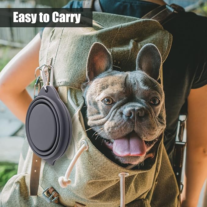 SLSON Collapsible Dog Bowls,Integrated Molding Dog Double Bowl No Plastic Rim 2 in 1 Foldable Pet Food & Water Bowl Cat Feeder Dish for Walking,Hiking,Camping (Dark Grey)