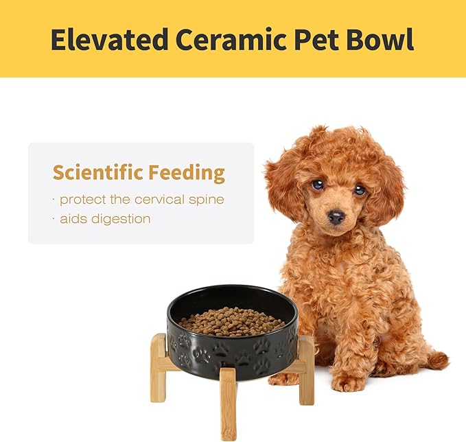 Elevated Ceramic Dog Bowls 2 Pack, 5.1" Individual Dog Bowl with 2 Fixed Height Stand, 1.6 Cup Food and Water Bowls for Toy Breed, Small-Breed Puppy (Double Bowls + Double Stands - Black, 5.1 inch)