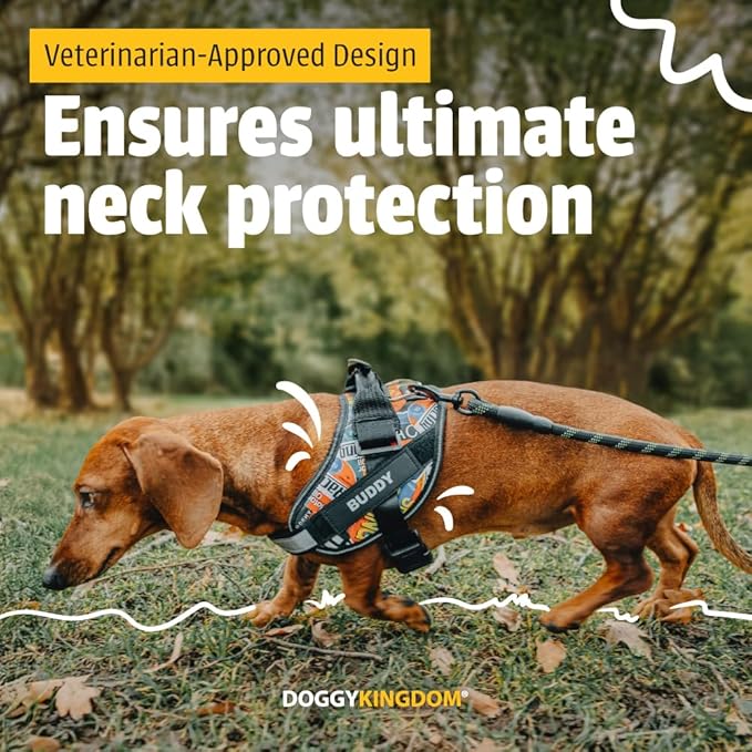 Personalized No-Pull Dog Harness with Name Patch, Adjustable, Reflective, Padded, Heavy Duty Pet Vest to Prevent Tugging, Pulling, or Choking, Training and Walking, Green, 2XL