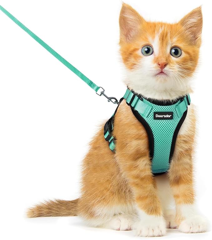 Dooradar Cat Harness and Leash Set, Escape Proof Safe Adjustable Kitten Vest Harnesses for Walking, Easy Control Soft Breathable Mesh Jacket with Reflective Strips for Cats, Green, XXS