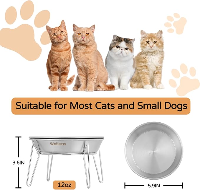 Cat Food Bowls, 2 Pcs Stainless Steel Cats Food and Water Whisker Fatigue Shallow Dishes, Small Dog Puppies Fat Faced Cat Kitten Supplies (2 Non-Slip Bowls with Stand)