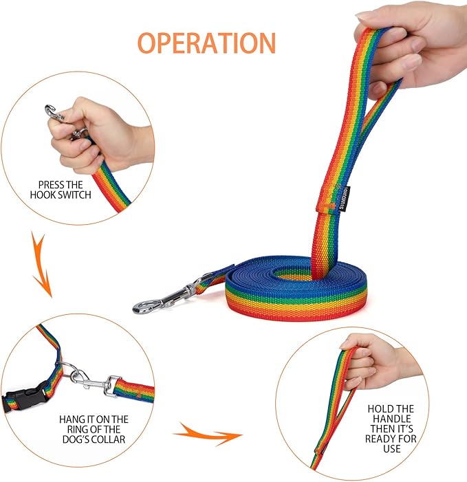 Strong Durable Nylon Dog Training Leash, 1 Inch Wide Traction Rope, 6 ft 10ft 15ft Long, for Small and Medium Dog (Rainbow, 15 Feet)