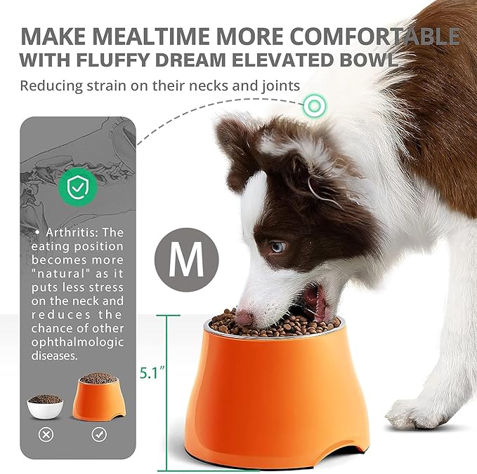 Raised Dog Bowls, Elevated Dog Bowls for Wearing Cone,Cocker Spaniel Long Ears,Neck Stress-Free,Non-Slip Stianless Steel Bowl for Medium/Small Size Dogs,2 Pack