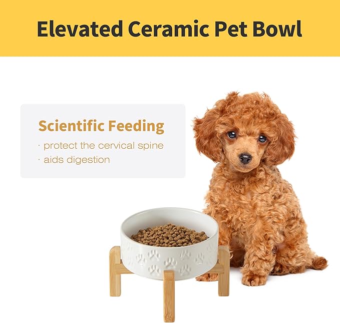 Elevated Ceramic Dog Bowls 2 Pack, 5.1" Individual Dog Bowl with 2 Fixed Height Stand, 1.6 Cup Food and Water Bowls for Toy Breed, Small-Breed Puppy (Double Bowls + Double Stands - White, 5.1 inch)