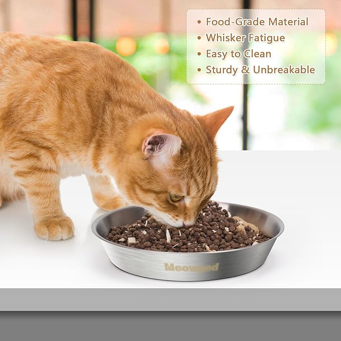 Cat Bowls,6.7" Extra Wide Stainless Steel Cat Food Bowls Whisker Friendly Water Dishes Plates for Cats and Small Dogs Good for Wet and Dry Food(2pack)