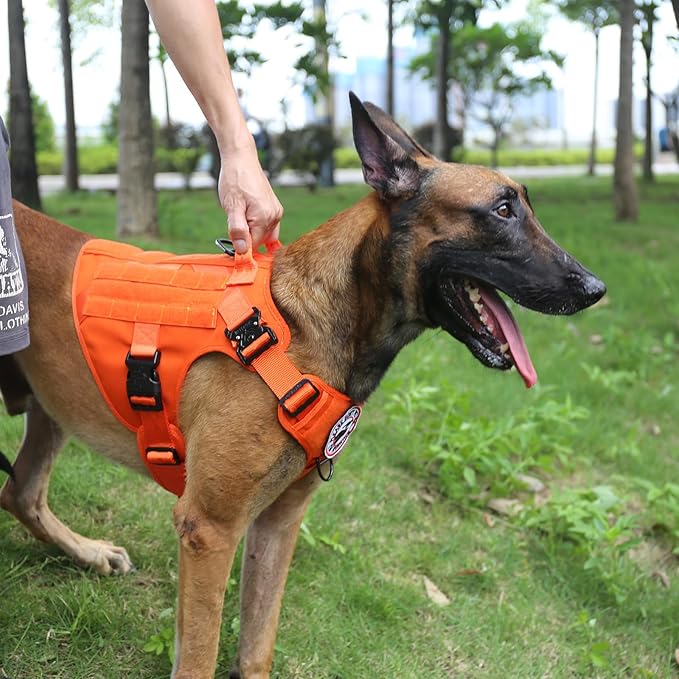 ICEFANG Tactical Dog Harness, Large Size,2X Metal Buckle,Working Dog MOLLE Vest with Handle,No Pulling Front Leash Clip,Hook and Loop Panel (Orange,L (Pack of 1))