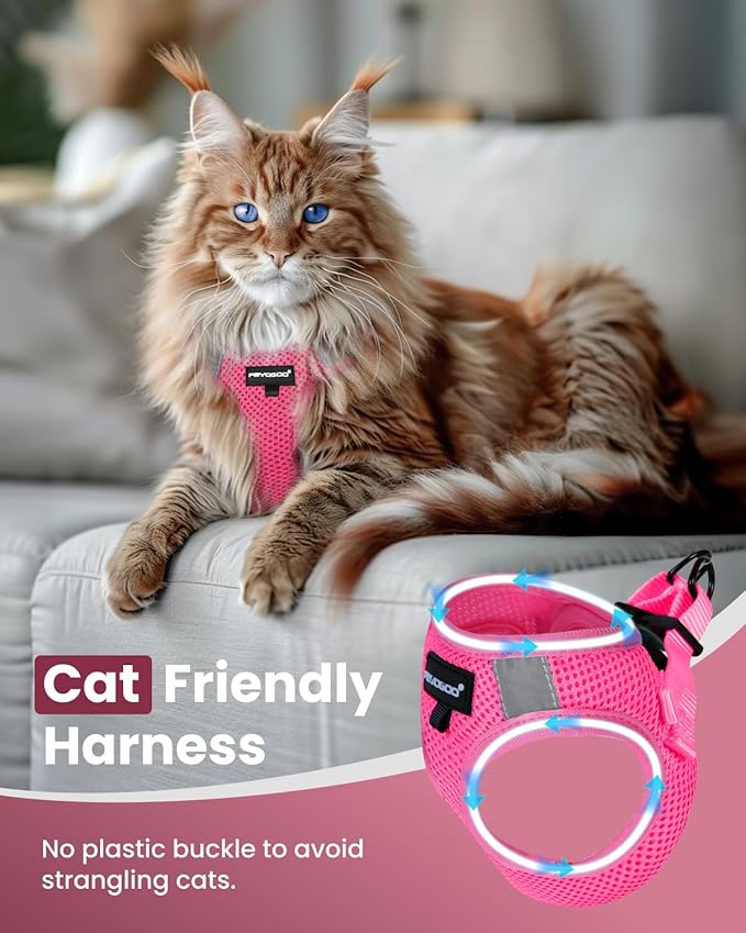 FAYOGOO Cat Harness, Cat Leash and Harness Set for Walking Escape Proof, Harness for Small Cats/Small Dogs, Large Kitten/Puppy Harness and Leash, Harness for Cats S-XXL(Pink, X-Large)