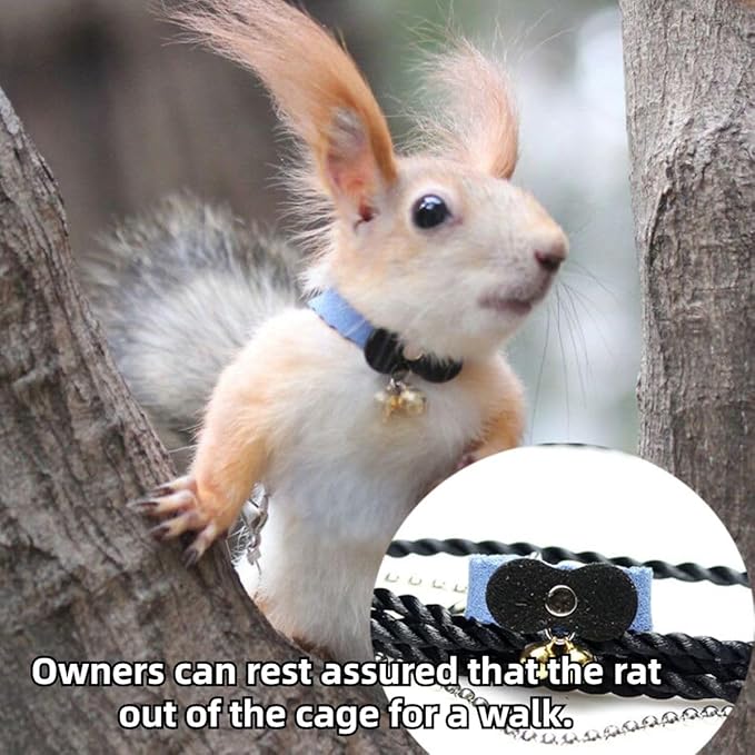 Squirrel Chipmunk Traction Rope Strap Anti-Biting Chain Rope, Small Animal Walking Collar Harness with Lead Leash for Hamster Gerbil Rat Mouse Ferret Chinchilla (Purple)