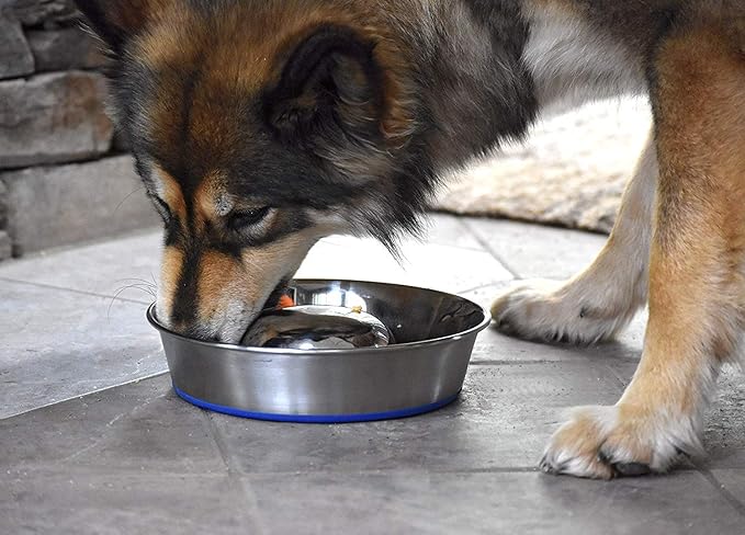 OurPet's DuraPet Slow Feed Premium Stainless Steel Dog Bowl, Silver (2040010301)