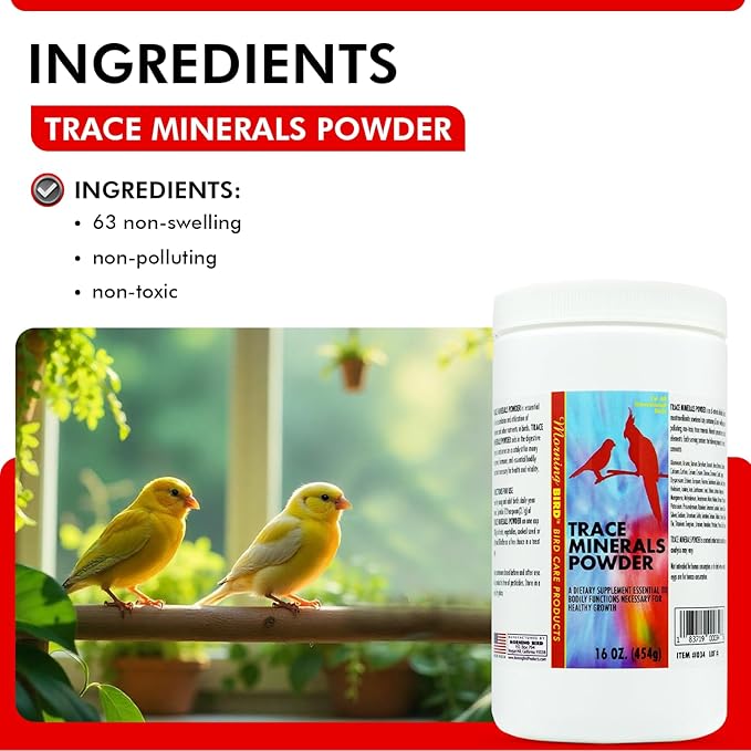 Morning Bird Trace Minerals Powder 16 Oz – Complete Mineral Supplement for Birds – Promotes Energy, Metabolism & Enzyme Activity – Easy to Mix for Daily Vitamin Support.